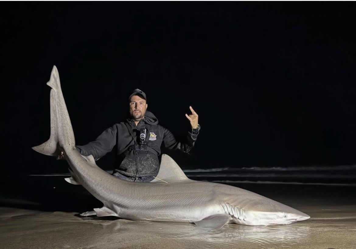 Tiburones de costa!!